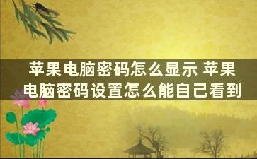 苹果电脑密码怎么显示 苹果电脑密码设置怎么能自己看到